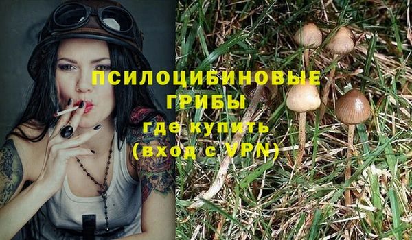 2c-b Красноперекопск