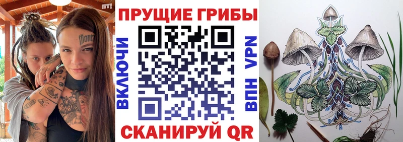 Галлюциногенные грибы прущие грибы дарк нет официальный сайт Медынь